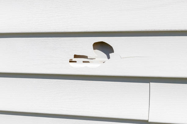 Best Storm Damage Siding Repair  in Elizabethville, PA